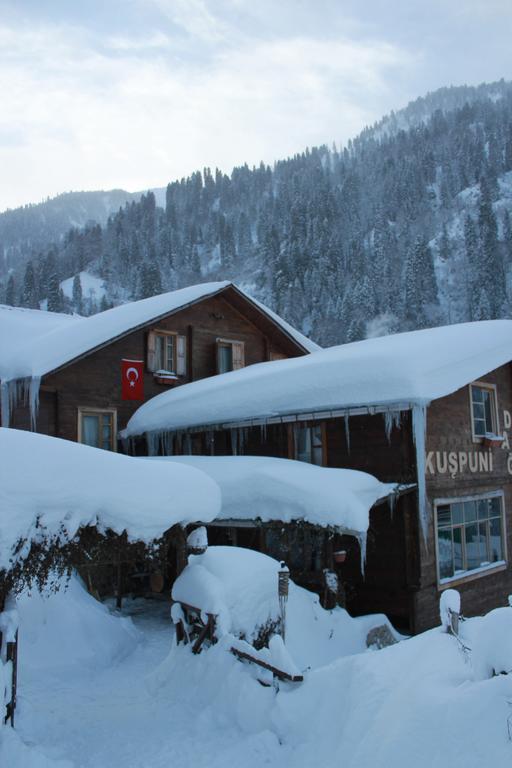 Villa Kuspuni Dag Evi Çamlıhemşin Exterior foto